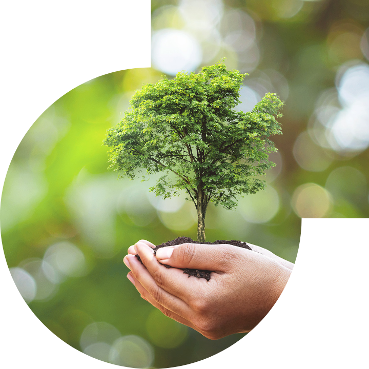 关怀人类、文化、环境与社会